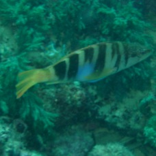 P4090020