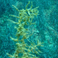DSC00601