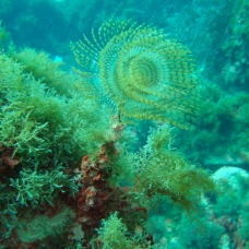 DSC00605