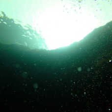 DSC00619