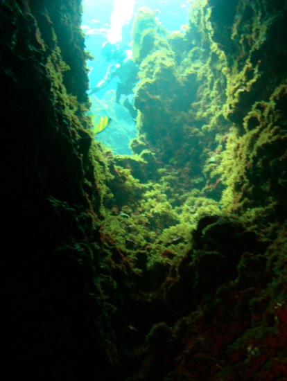 Loading Image