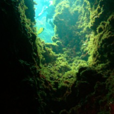 DSC00625