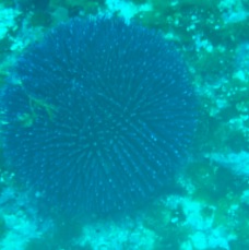 P4100072