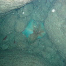 P4100088