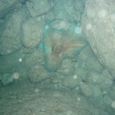 P4100089