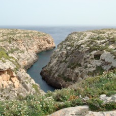 DSC00664