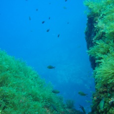 DSC00680
