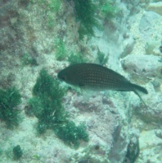 P4110148