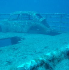 P4120024