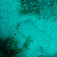 P4130070