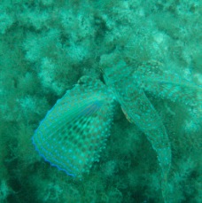 P4130089