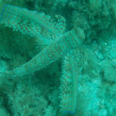 P4130091